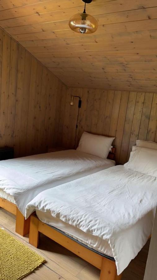 Chalet Luxueux Chatel Ngoại thất bức ảnh