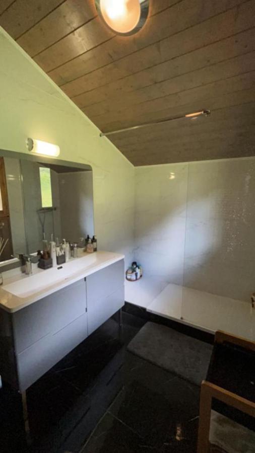 Chalet Luxueux Chatel Ngoại thất bức ảnh