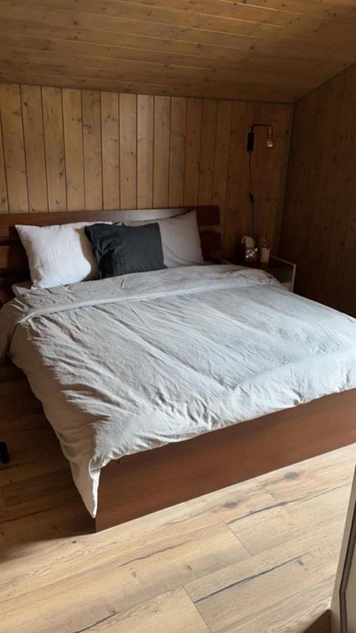 Chalet Luxueux Chatel Ngoại thất bức ảnh